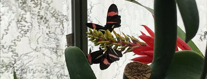 Butterfly House is one of Princesa : понравившиеся места.