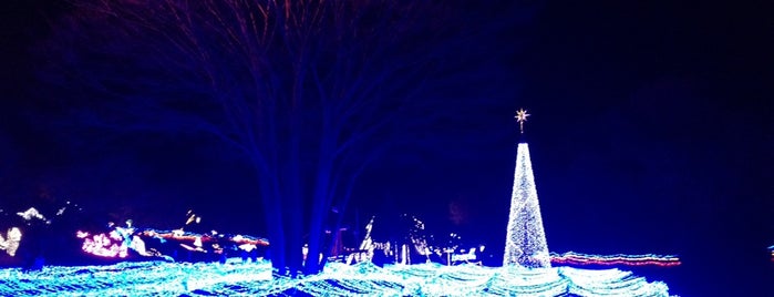 夜景 イルミネーション 公園 宿泊