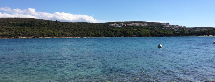 Paşalimanı Koyu is one of Beach.