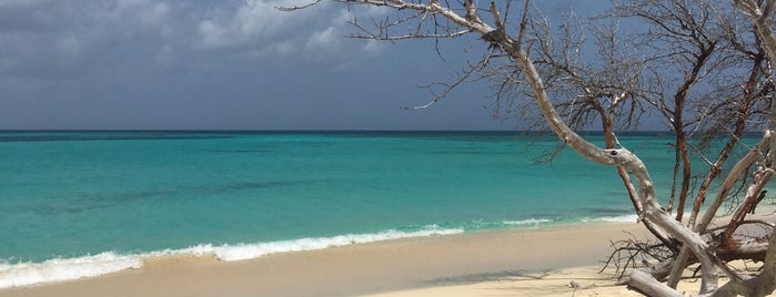 Buck Island Reef National Monument is one of St Croix - St Thomas- St John.