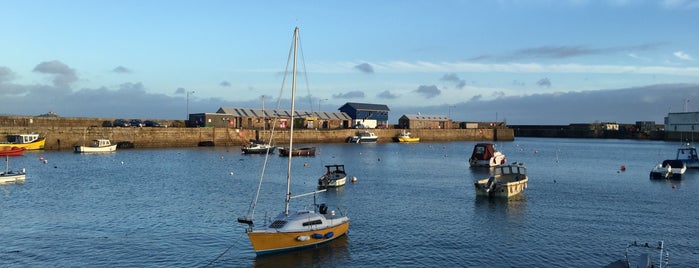 Penzance Harbour is one of Otto 님이 좋아한 장소.