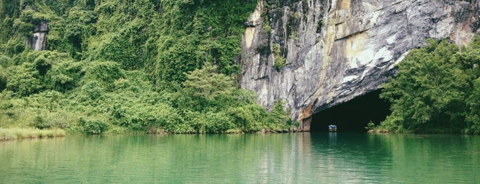 Động Phong Nha (Phong Nha Cave) is one of Caves of Vietnam.