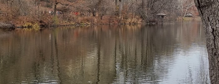 Central Park - Wagner Cove is one of Central Park.