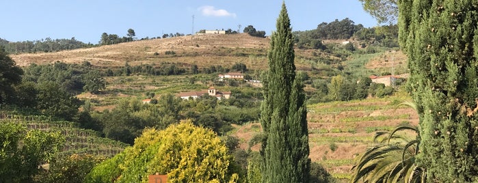 Quinta de Covela is one of Portugal.