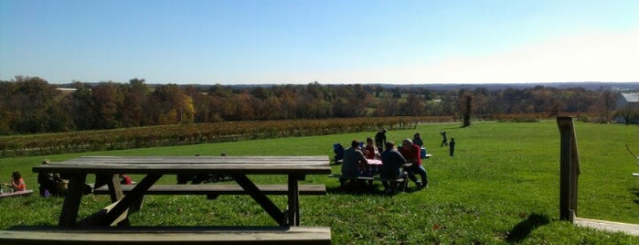 Robller Vineyard is one of Winery.