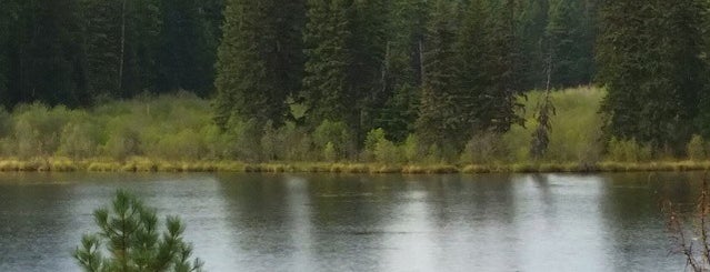 Flathead National Forest is one of National Recreation Areas.