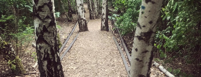 Natur-Park Schöneberger Südgelände is one of Sarah : понравившиеся места.