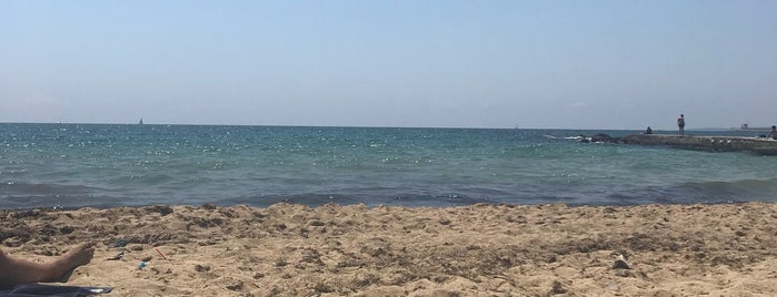 Can Pere Antoni Beach is one of Sarah’s Liked Places.