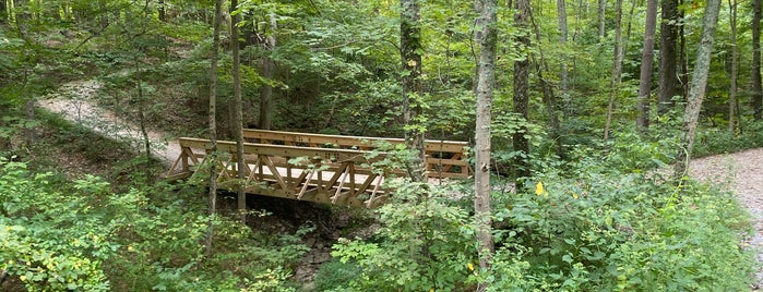 Cincinnati Nature Center (Rowe Woods) is one of places to go.