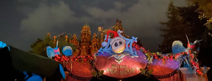 Haunted Mansion is one of Tokyo Disney Resort 2013.