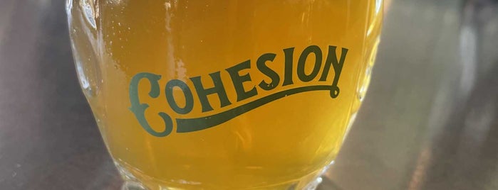 Cohesion Brewing Company is one of Denver.