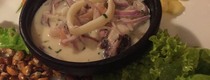 Don Augusto is one of ceviche stgo.