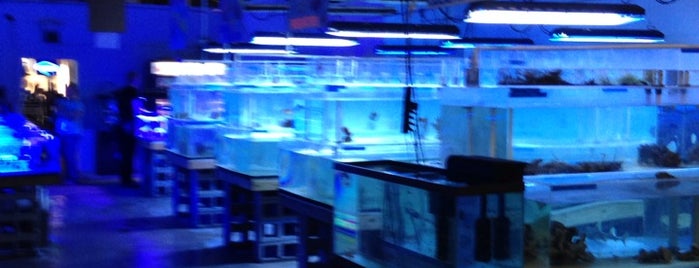 The Fish Store is one of Locais curtidos por Danielle Shepherd.