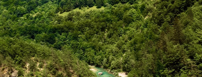 Kanjon Tara is one of 🇲🇪 Montenegro.