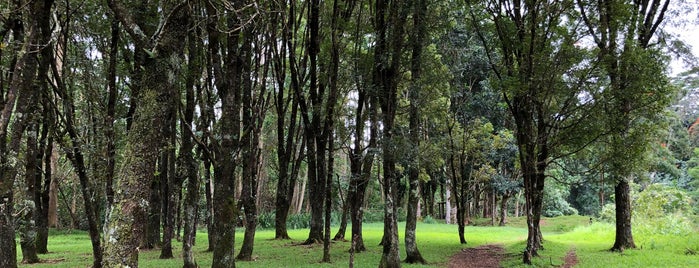 Keahua Arboretum is one of Hawaii - Kauai.