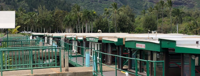 Wailua Marina is one of Lugares favoritos de Chev.