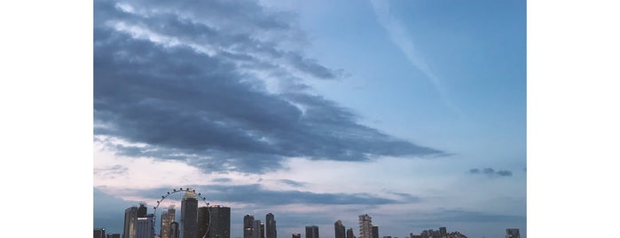 Marina Barrage Green Roof is one of The Next Big Thing.