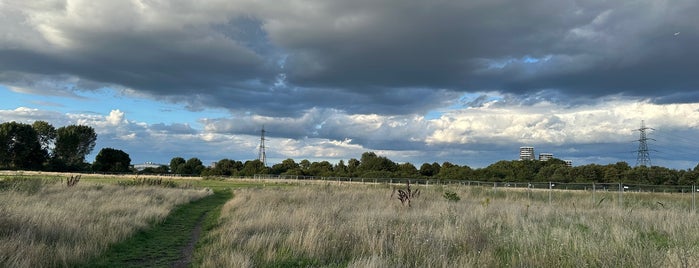 Leyton Marsh is one of Green Space, Parks, Squares, Rivers & Lakes (One).