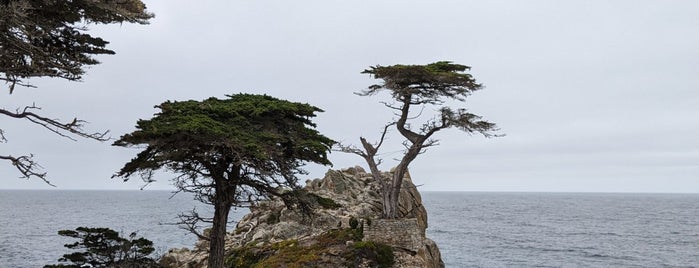 17 Mile Drive is one of Big Sur /Monterey.