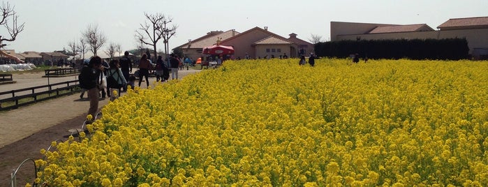 Soleil Hill is one of カピバラ動物園.