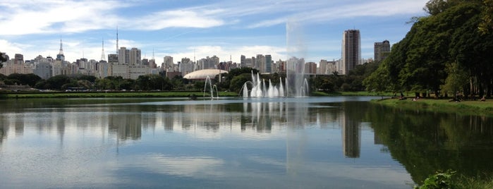 Ibirapuera Park is one of Saidinhas.