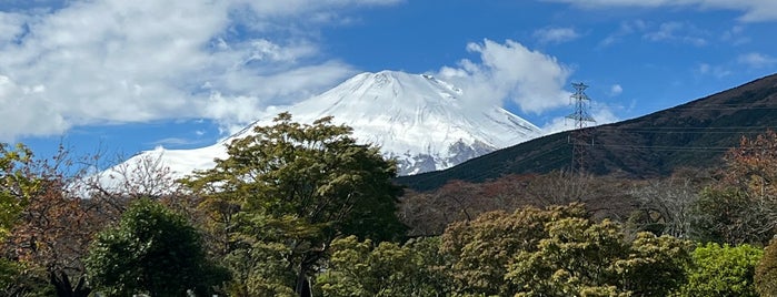Fuji Reien is one of mayumi : понравившиеся места.