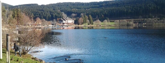 Titisee is one of Germany, Austria & Switzerland.