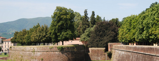 Walls of Lucca is one of Trips / Tuscany.