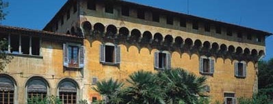 Villa di Careggi is one of Medici Villas.