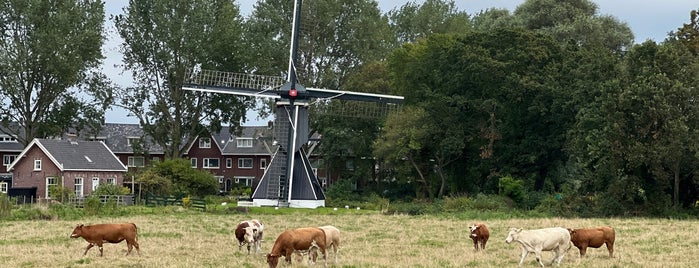 Schotveense Molen is one of I love Windmills.