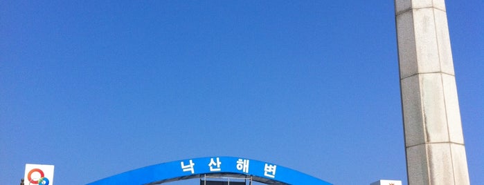 낙산해수욕장 is one of Lively Gangwon.