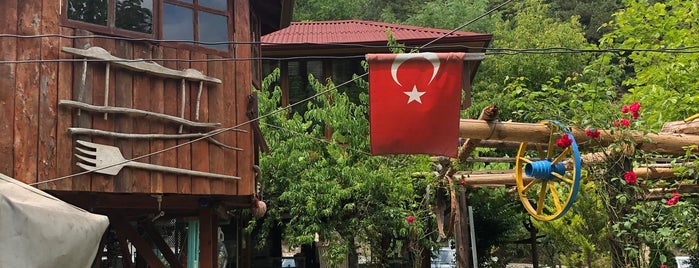Dorukhan Canlı Alabalık is one of Bolu-Mengen.