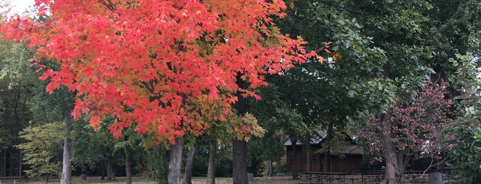 Slate Run Metro Park - Wetlands is one of Johnさんのお気に入りスポット.