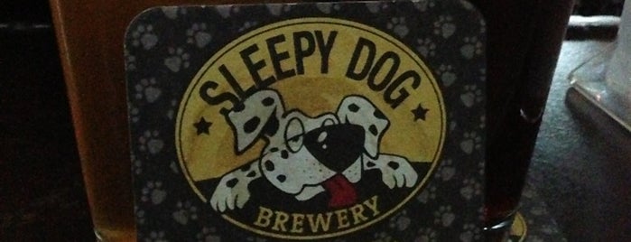 Sleepy Dog Saloon & Brewery is one of Breweries.