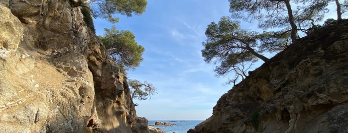 Cala Sa Cova is one of Costa Brava - España.