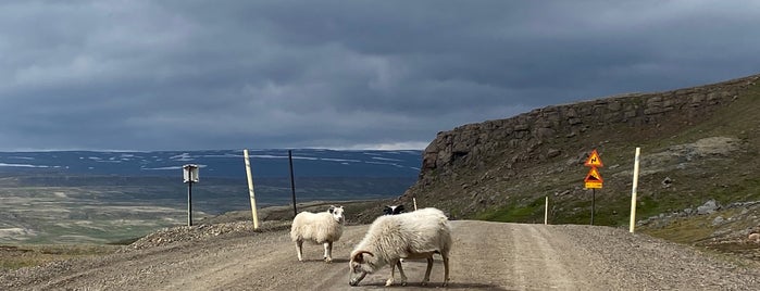 Heiðarvatn is one of Ísland.
