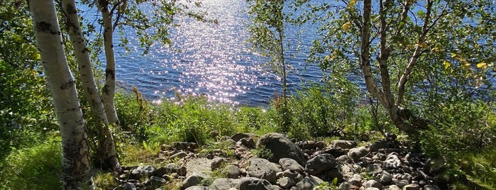 Kemijoki is one of Lapfeb.