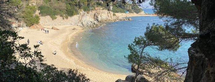 Cala Belladona is one of Palamos.