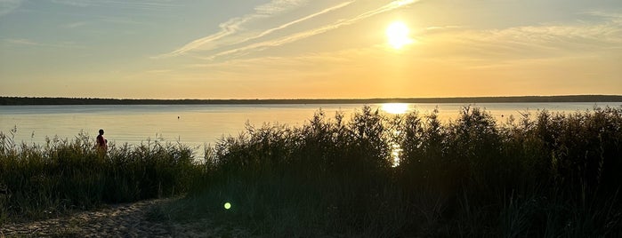 Võsu rand is one of Beaches in Estonia.
