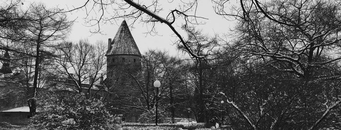 Tornide väljak is one of Tallin.