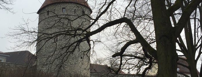 Tornide väljak is one of Tallinn delights.