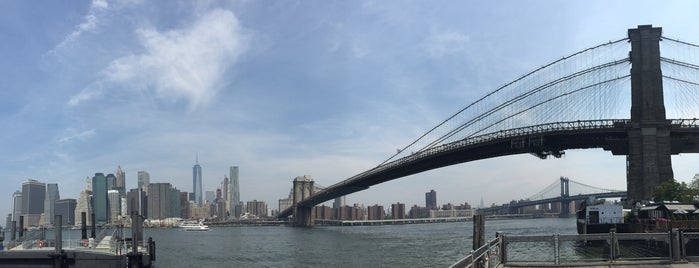 Brooklyn Bridge Park is one of NY.