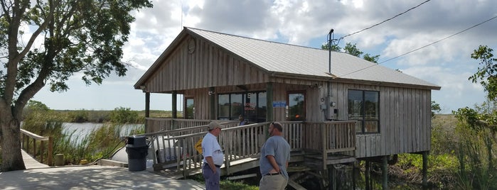 Captain Mitch's Everglades Airboat Tours is one of sarasota.