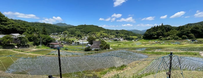 長谷の棚田 is one of 日本の棚田百選.