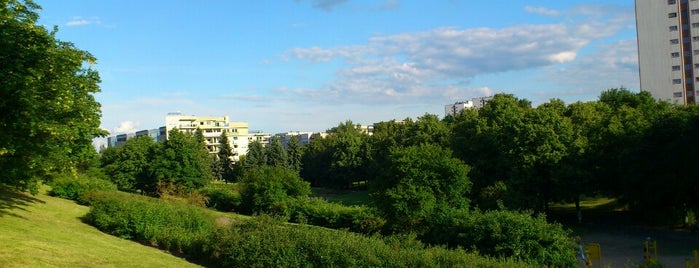 Park Gagarina is one of Parki w Poznaniu // Poznan Parks.