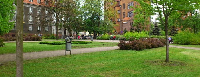 Plac Marii Skłodowskiej-Curie is one of Poz.