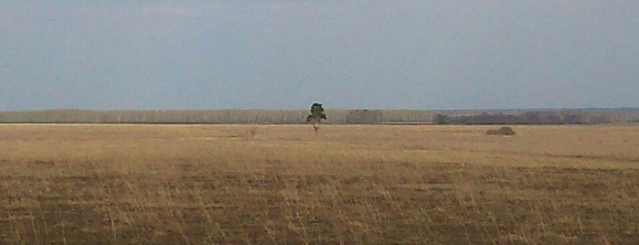 Дерево в поле is one of Lieux qui ont plu à Тетя.