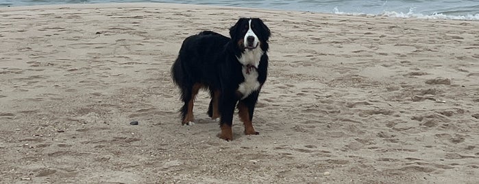 Fowler Beach is one of Summer out east.