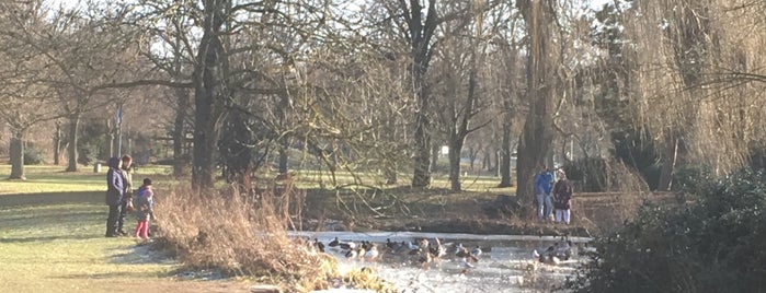 Holzbendenpark is one of Flora & Fauna.