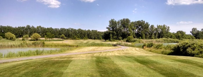 Lake Erie Metropark Golf Course is one of Lieux qui ont plu à Darek.